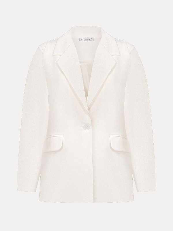 Пиджак (105PG)